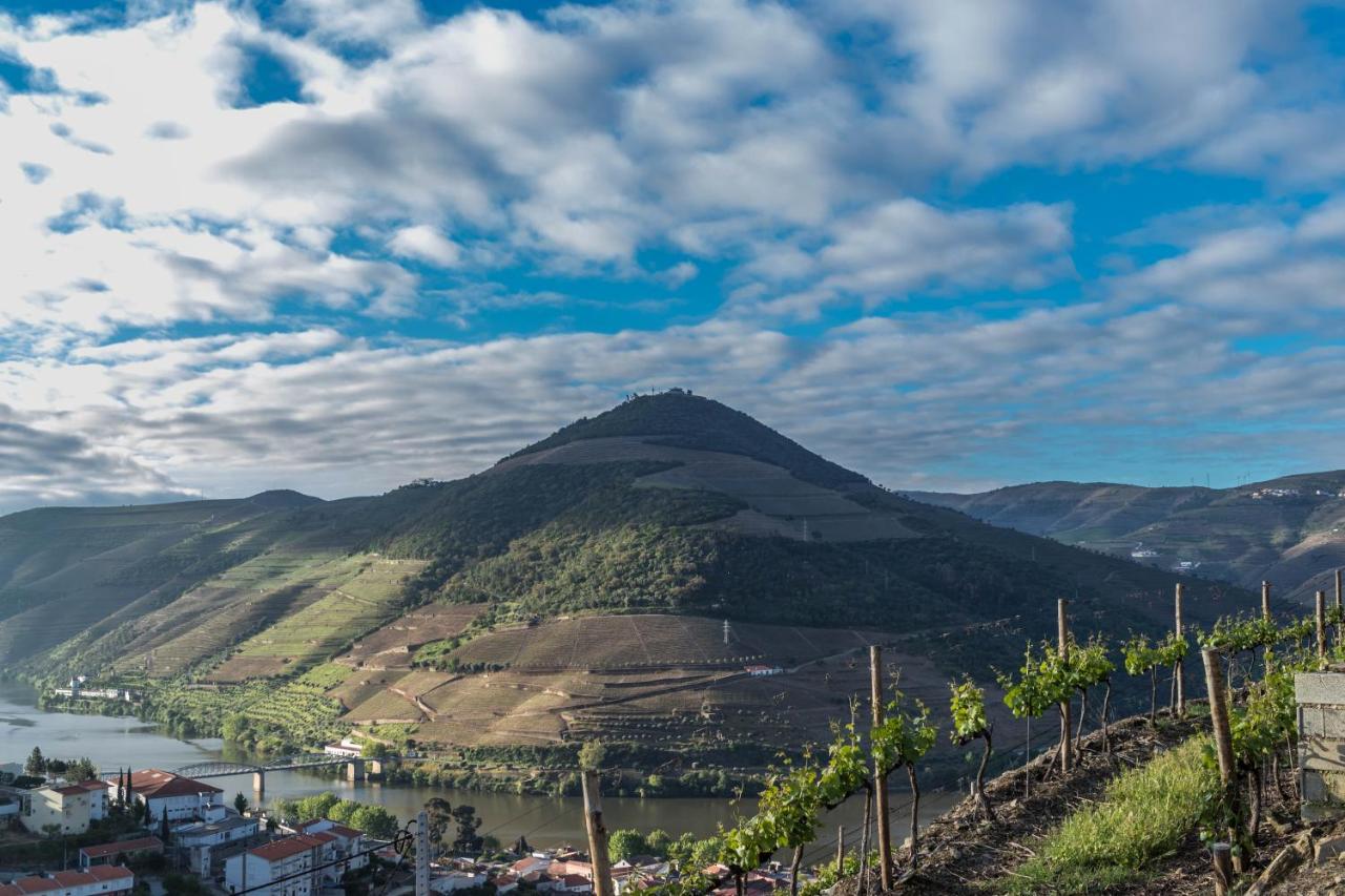 Dois Lagares House Panzió Pinhão Kültér fotó