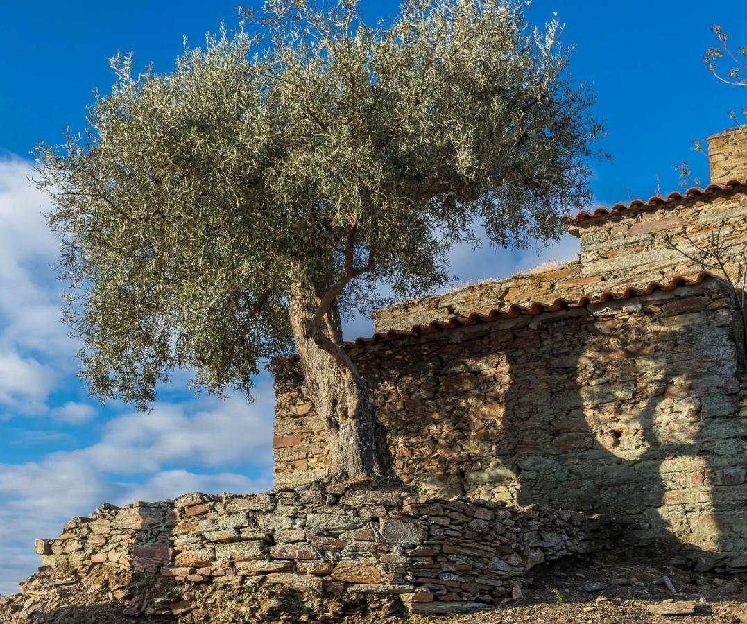 Dois Lagares House Panzió Pinhão Kültér fotó