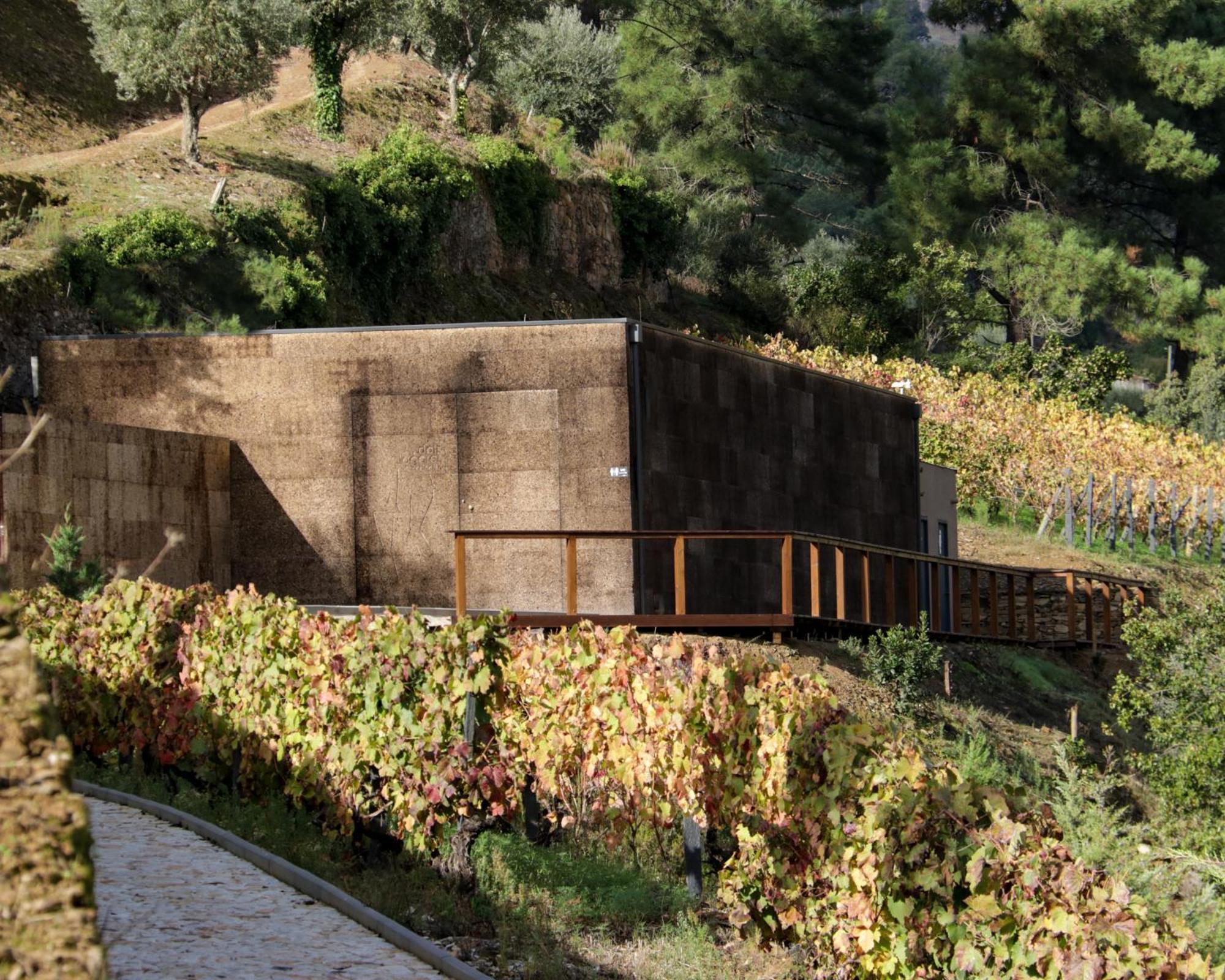 Dois Lagares House Panzió Pinhão Kültér fotó
