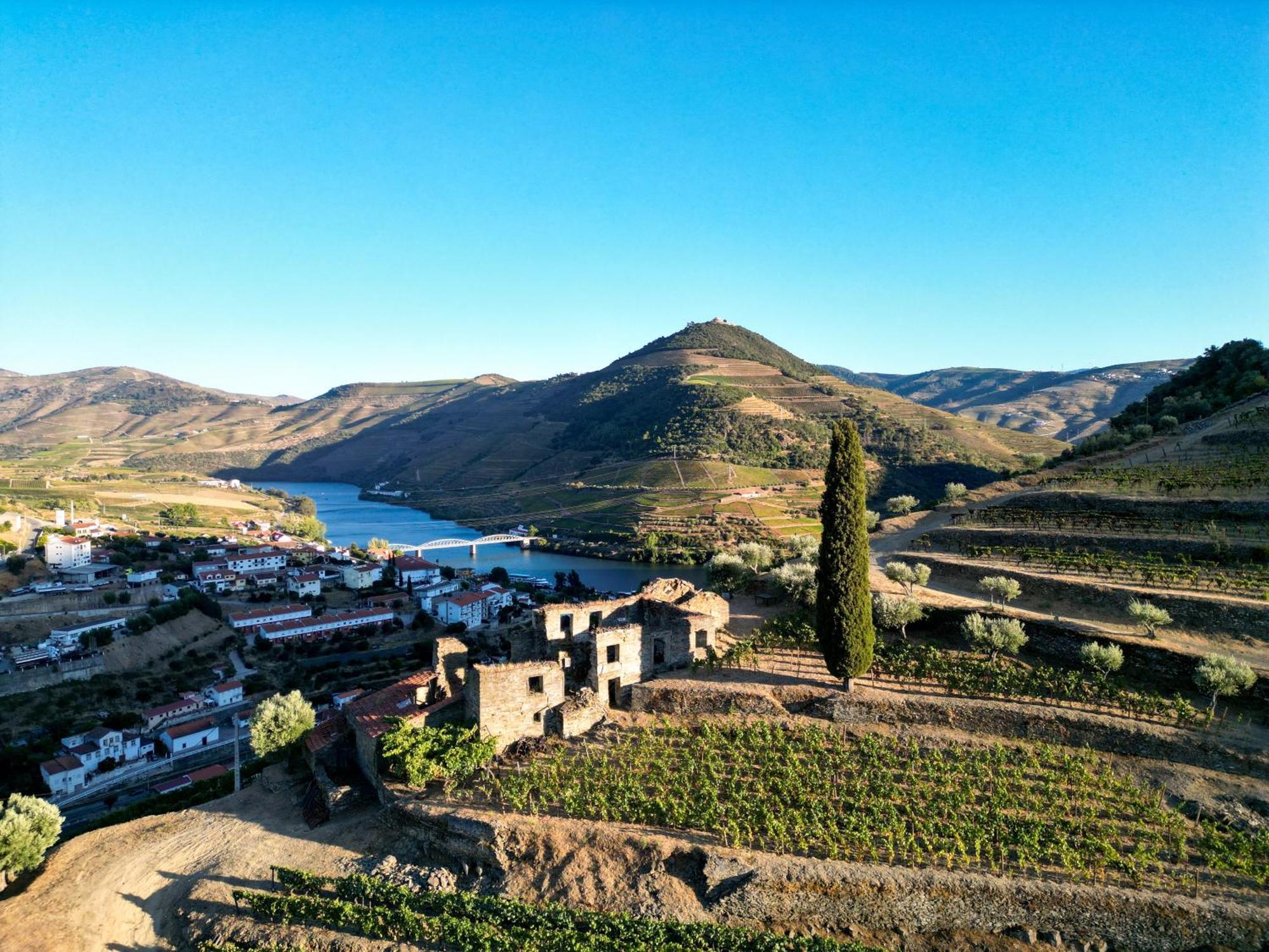 Dois Lagares House Panzió Pinhão Kültér fotó